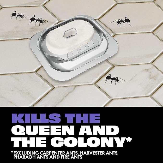STEM Liquid Ant Baits, Kills The Queen and Colony, for Indoor Use, 12 Spill Proof Bait Stations