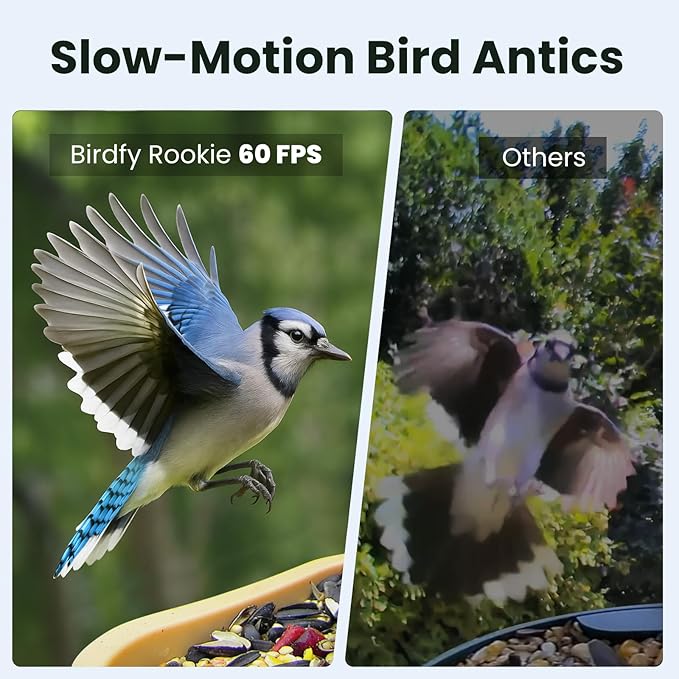 Birdfy Smart Bird Feeder with Camera for Rookie, Camera Bird Feeder Dual Night Vision, AI Recognition IP66 Waterproof for BirdLovers (Lifetime Free AI)