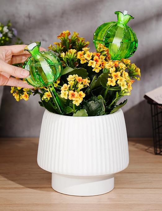 NiHome Plant Watering Globes 4-Pack (2 Small + 2 Large), Green Glass Cactus Self Watering Globe, Glass Waterer for Potted Plants, Automatic Mini Irrigation System, Adorable Gardening Tool