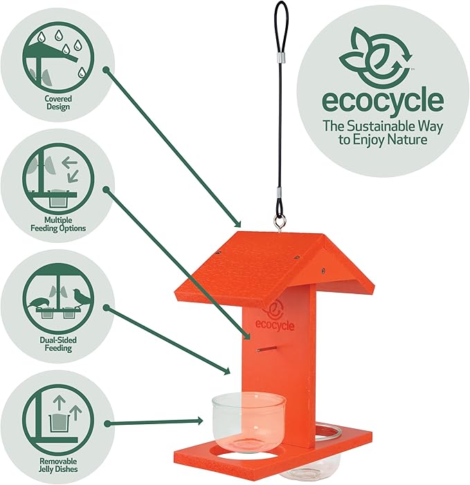 Citrus Sampler Recycled Plastic Orange & Jelly Oriole Bird Feeder for Wild Birds and Outdoor Décor, Dual-Sided Feeding & 2 Removable Glass Dishes & Fruit Spikes, 0.4 Quart Capacity, Orange