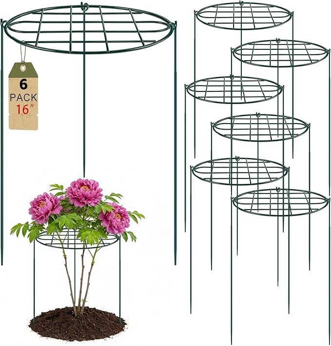 6 Pack 16 x 24 inch Peony Cages and Supports,Metal Grow Through Plant Supports for Outdoor Plants,Flowers Support Rings Top-Heavy Plant Brace Support Hoop for Vegetables,Rose,Tomato,Orchids