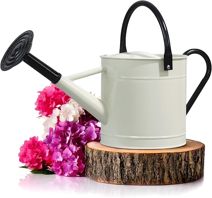 Plexon Metal Watering Can Outdoor 1 Gallon, Flower Plant Gardening Garden Large Watering Can Pot, Black Galvanized Steel Handles and Removable Spray Spout, Off-White