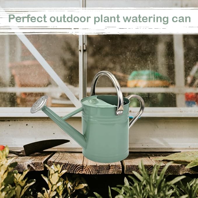 Metal Watering Can 1 Gallon with Removable Spout, Ideal Plant Watering Can for Indoor and Outdoor Plants (One Gallon Creamgreen)