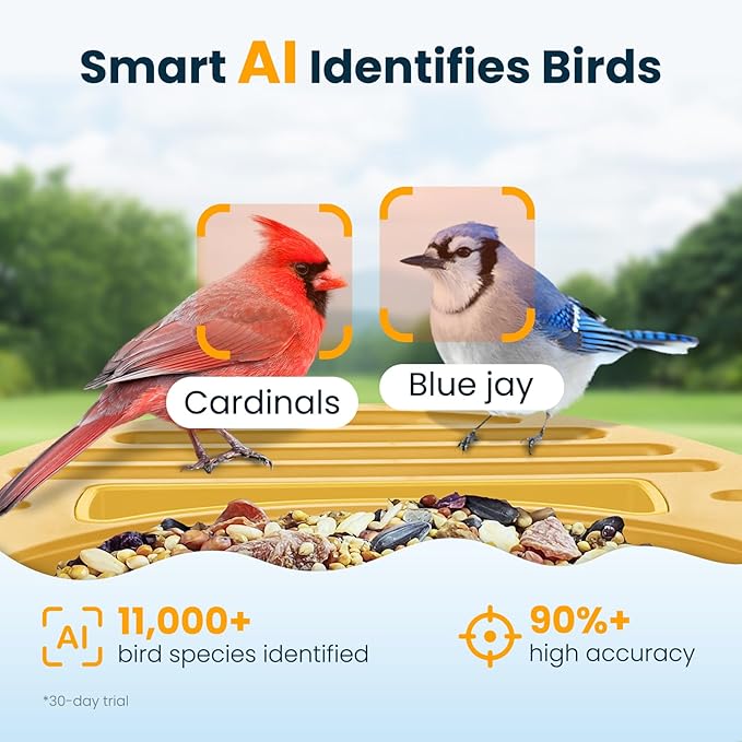 Smart Bird Feeder with Camera, 2.5K UHD Bird Camera AI Identifies 11,000+ Bird's Species, Real-time Bird's Videos & Pictures, Solar Powered Wireless Outdoor, Ideal Gift for Mom, Yellow