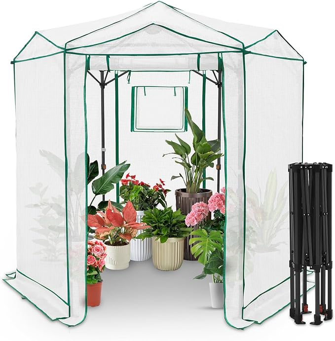 EAGLE PEAK 6.6x6.6 Portable Walk in Greenhouse, Pop Up Indoor Outdoor Greenhouse, Green House Kit with Zippered Roll-Up Doors and Windows, Hexagon Design, PE Cover, Clear/White
