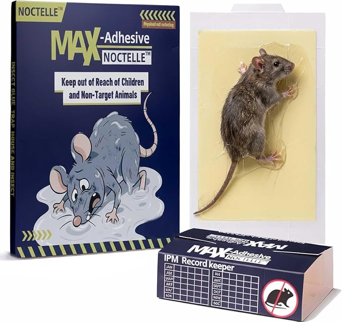 15 Pack Glue Traps for Mice, Mouse Glue Traps Indoor for Home, Sticky Mouse Traps, Glue Boards for Mice, Bed Bugs, Spiders, Cockroaches, No-Mess Traps for Garage, Basement & Attic