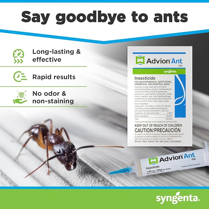Syngenta 68078 Advion Singular Tube Ant Gel Lure, 30g