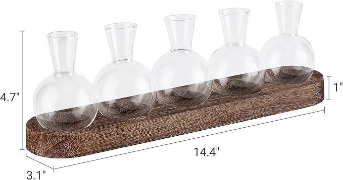 Mkono Plant Terrarium with Wooden Stand, Wall Hanging Glass Planter Desktop Plant Propagation Vase with Metal Swivel Retro Rack for Hydroponics Plants Home Office Decor