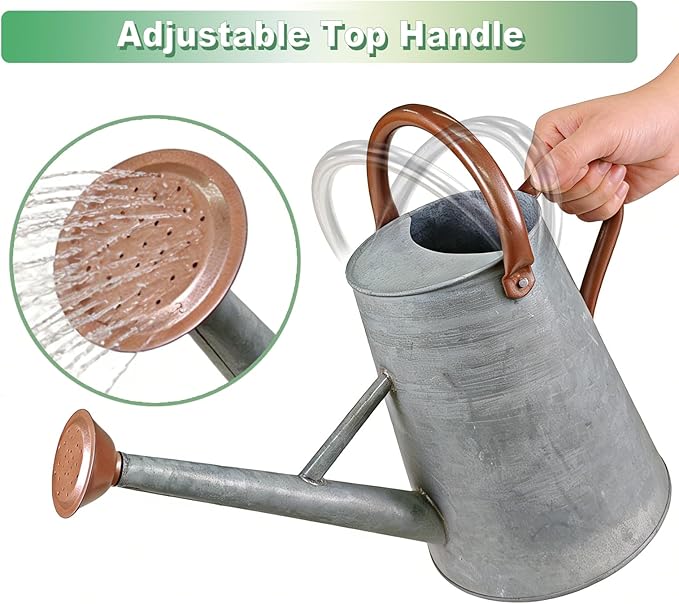 Watering Can for Outdoor&Indoor Plants，1.5 Gallon（5.7L） Metal Watering Can with with Removable Spout，Large Galvanized Steel Garden Flower Water Can Watering Pot with 2 Handles，Rustic Silver
