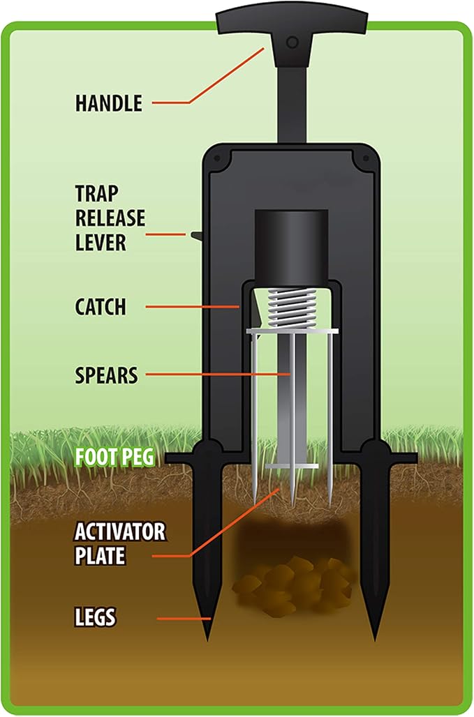 Victor Easy-to-Set Deadset Mole Trap and Killer - M9015 - Trap and Kill Moles Outdoors