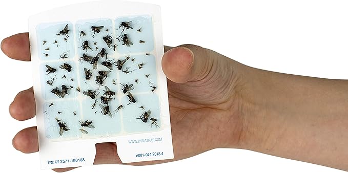 DynaTrap 23005-0612 DOT StickyTech Replacement Indoor Flying Insect Trap Glue Cards - 6 Pack