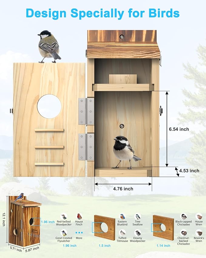Bird House with Camera Solar Powered,2K HD Wi-Fi Bird Watching, Auto Detect&Notify, Night Vision, APP Control, Birdhouse for Small Birds Nesting, Wooden Birdhouse with Cam Inside (Solar-Powered)