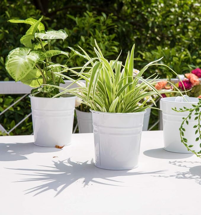 Dahey 4 Inches Hanging Flower Pots Metal Iron Bucket Planter for Railing Fence 10 Pcs and 5 inch Hanging Bucket Pots 5 Packs Window Flower Plant Holder with Detachable Hooks Indoor Outdoor Decor