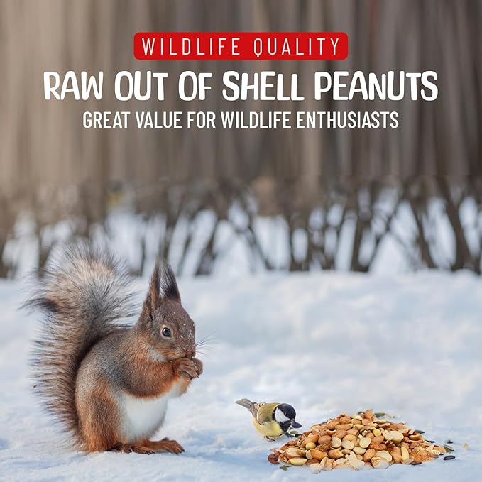 Sneaky Mango Raw Out of Shell Peanuts - 2 Pounds - Shelled Peanuts for Birds – Wildlife Quality - Food for Squirrels, Deer, Birds, and Other Wildlife Animals – Grown in The USA