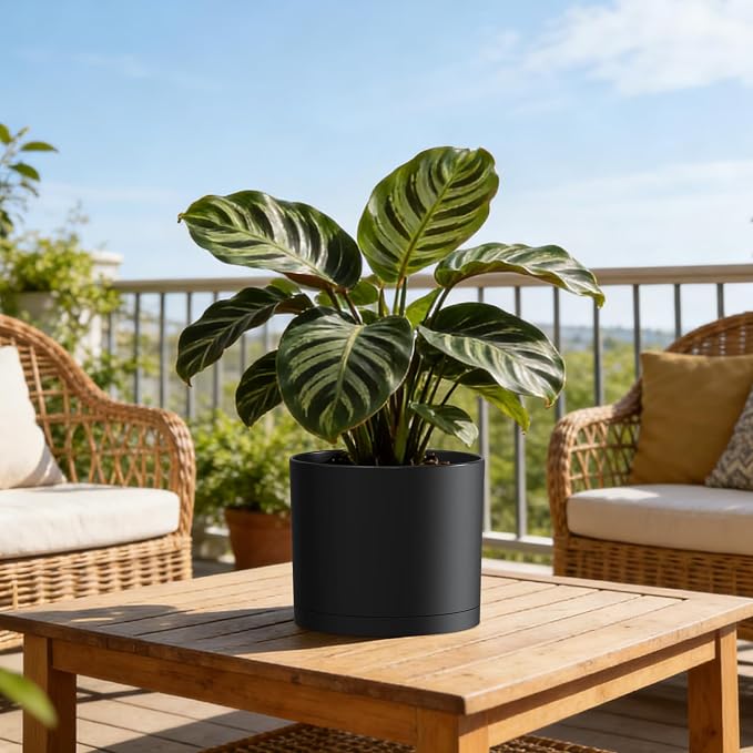 Plant Pots, 10/9/8 Inch 3 Pack Cylindrical Flower Pots with Drainage Holes and Saucers, Plastic Planters for Outdoor Indoor Plants,Black
