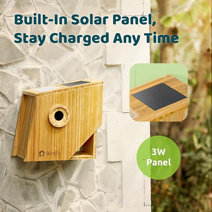 Birdfy Smart Bird House with Camera Lifetime AI Identify Auto-Record Nesting Stages & Alerts, Remote Control Night Vision Battery & Solar Outdoor-Ready, Gift for Nesting Watching Enthusiasts