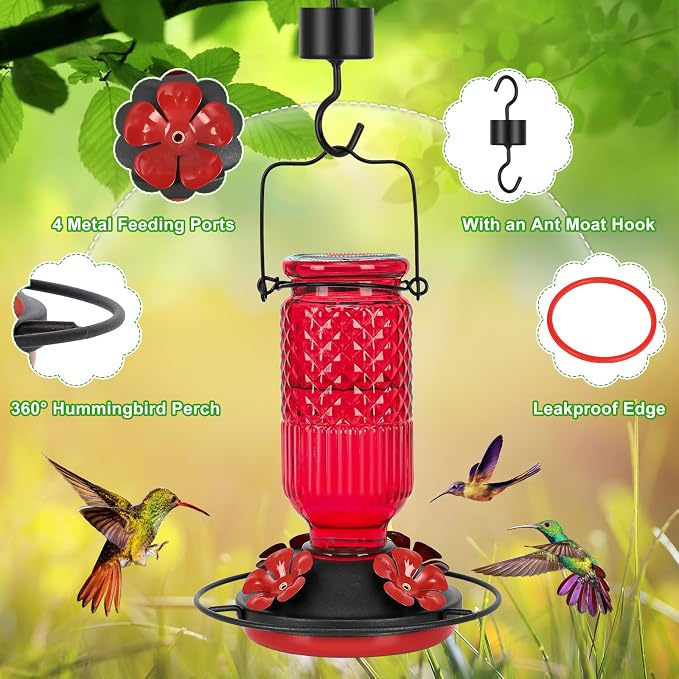 FEED GARDEN Glass Hummingbird Feeder for Outdoors