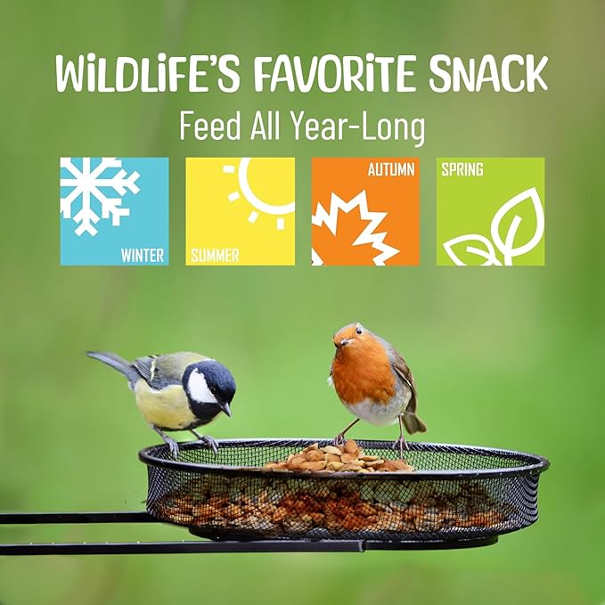 Sneaky Mango Raw Out of Shell Peanuts - 2 Pounds - Shelled Peanuts for Birds – Wildlife Quality - Food for Squirrels, Deer, Birds, and Other Wildlife Animals – Grown in The USA