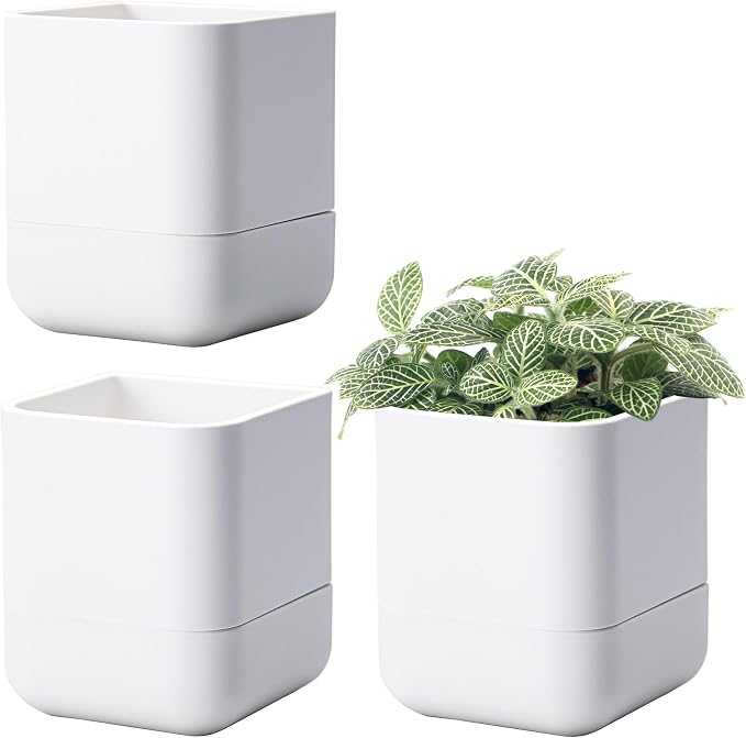 Phoenix Vine 4.5 Inch Wall Mounted Self-Watering Planter Pot for Indoor Houseplants and Herbs | Hanging Planter for Window Sills, Bathroom Walls, Home & Office Décor, White, Set of 3, 01-B-D-3