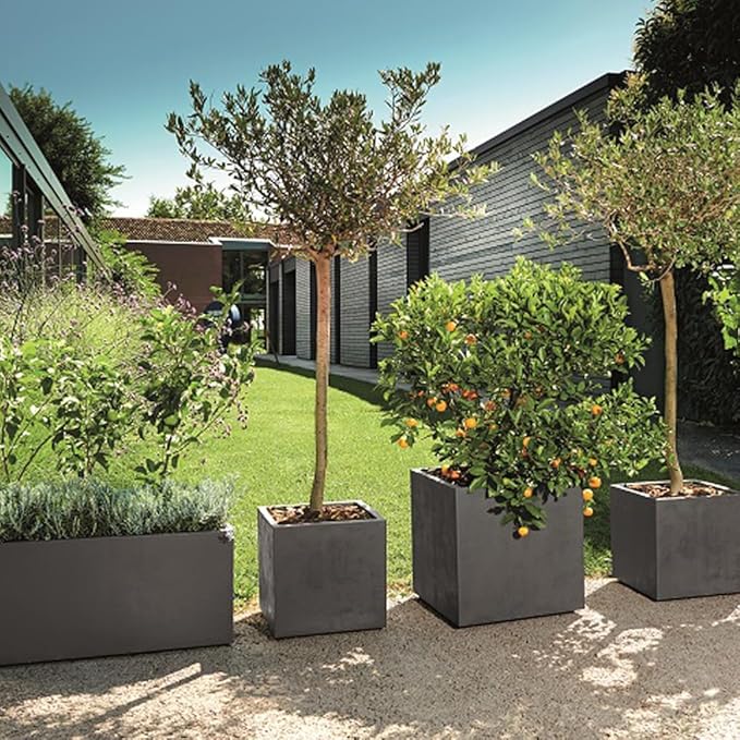 Deroma Millennium Planter | 23” x 10” x 10" Rectangle | Light & Durable Plastic | Indoor or Outdoor Pot for Patio/Porch | Includes Water Reserve & Drain Plug | Pot for Plants, Flowers, Garden | Black