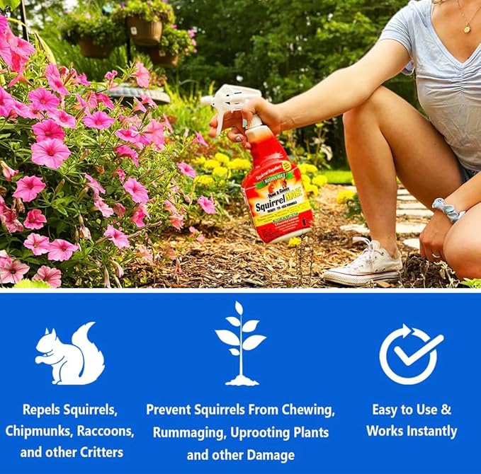 Nature’s MACE Squirrel Mace, Squirrel Repellent Spray, 40 Ounce Concentrate, Squirrel and Chipmunk Repellent, Keep Out of Garden, Attic, Fruit Trees, Plants, Potted Plants, Repel Squirrels