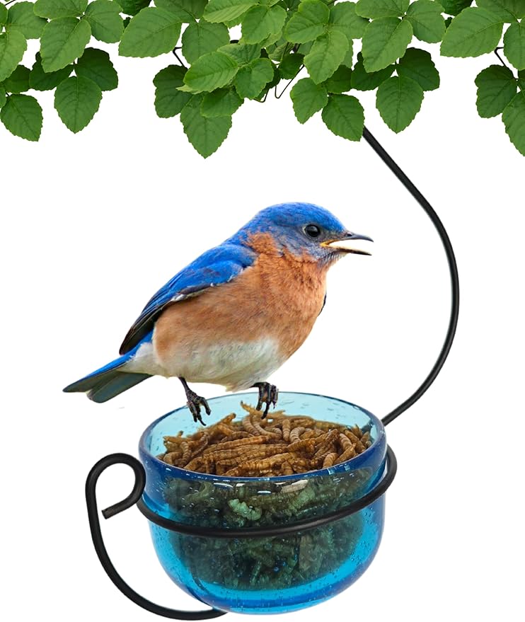 Bluebird Mealworm Feeder - Sparkling Blue Glass Bowl with Decorative Hanging Hook - Removable Cup for Easy Cleaning - Dried or Live Mealworm Feeder for Bluebirds Outdoors