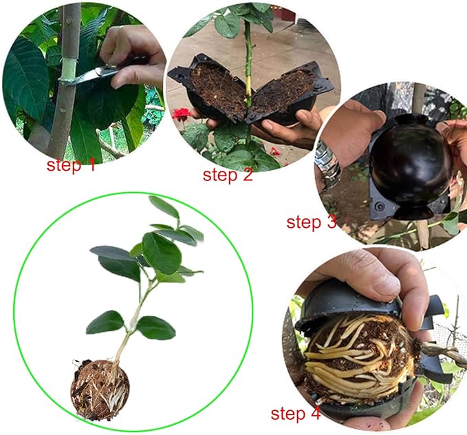 Tree Root Growing Box, Reusable Transparent Plants Asexual Reproduction Grafting Ball, High Pressure Air Layering Pods Propagation Kit (20pcs Small)