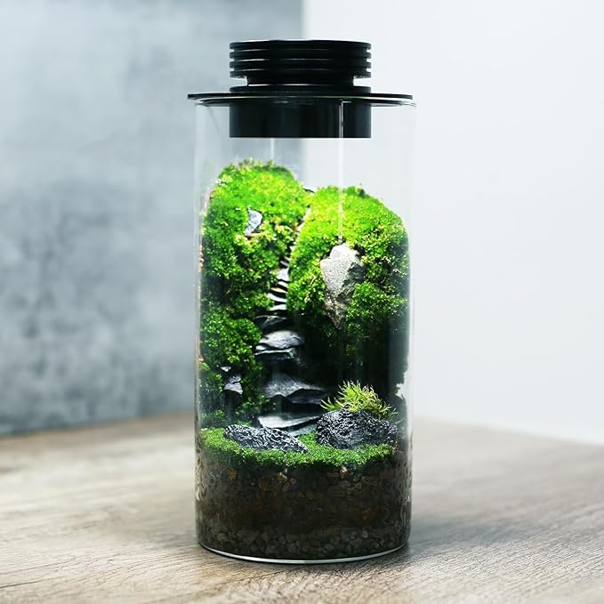 AREPK Desktop Glass Plant Terrarium with Grow Light (H:7.8" D:4"), for Succulent, Moss, Miniature Gardening Landscape, Betta Fish Tank, Office Home Decoration, Plant Lovers Gifts