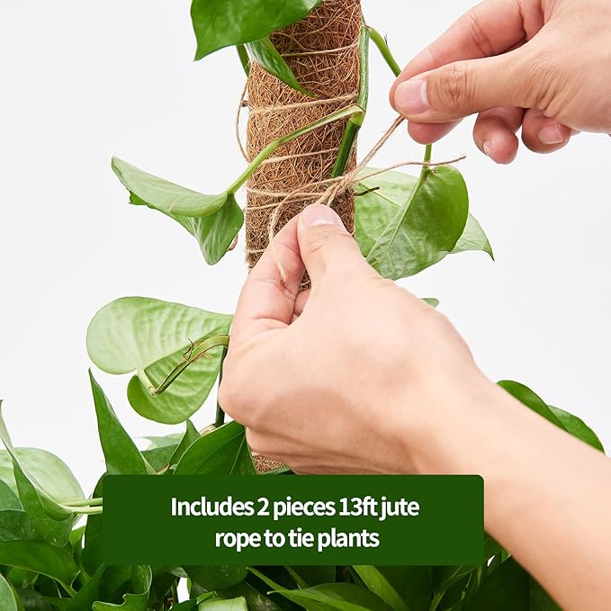 Eibikdi 6 Pcs Moss Pole Extending to 68 Inches for Plants Monstera, Plant Support Stakes for Indoor Climbing Plants Grow Upwards, with 65ft Twist Ties, 13ft Jute Rope, 6.5ft Hook-and-Loop Strip