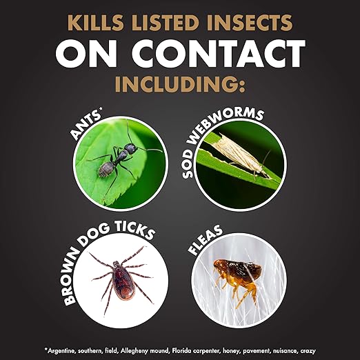 Spectracide Immunox Fungus Plus Insect Control For Lawns 32 Ounces, Dual Action, Hose-End Concentrate