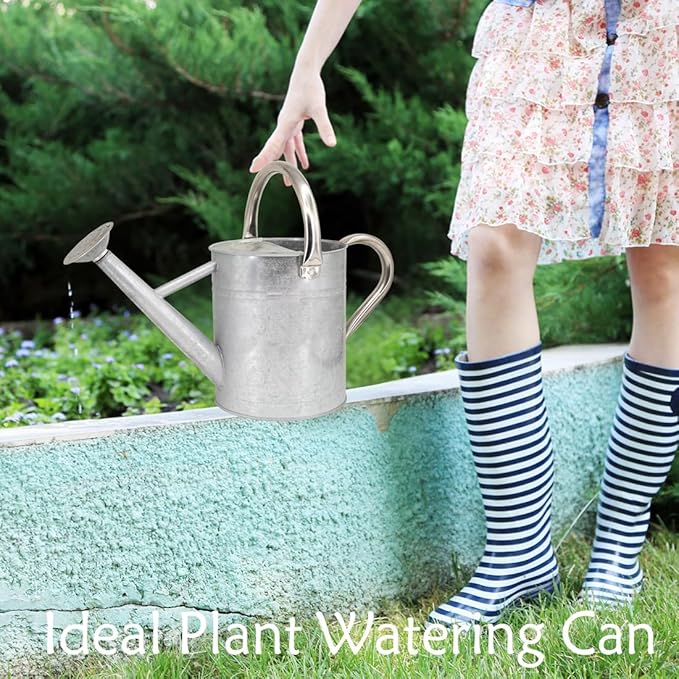 Metal Watering Can 1 Gallon with Removable Spout, Ideal Plant Watering Can for Indoor and Outdoor Plants (One Gallon BXG Silve)