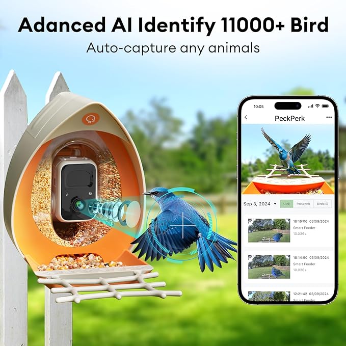 Bird Feeder with Camera Solar Powered, Smart Birds Feeder for Outside, AI Bird Identification Auto Capture Videos Pictures, 2K Live Feed Cam for Backyard, Ideal Gift for Birds Lover
