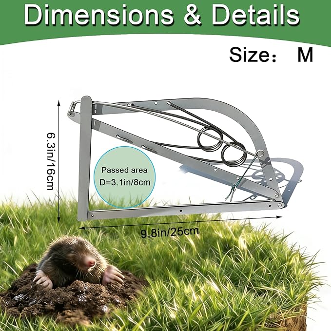 Reusable Outdoor Chipmunk Spring Trap - for Meadow, Woods, Orchard, Gardens & All Outdoor Spaces (2, M-6IN)