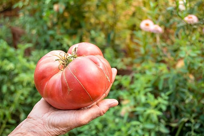 Premium Organic Compost - Nutrient Rich Soil Amendment for Gardens, Flowers, & Vegetables - Improves Soil Structure & Balance - Resealable Bag (7lb)