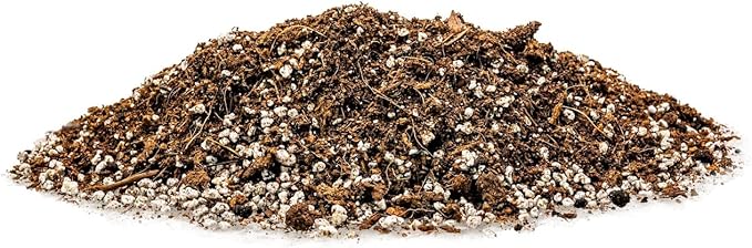 Gardenera Professional Carnivorous Plant Soil - Ready to Use for Venus Flytraps, Sundews, Pitcher Plants, Butterworts | Peat Moss, Coco Coir, Perlite - 5 Quart Bag