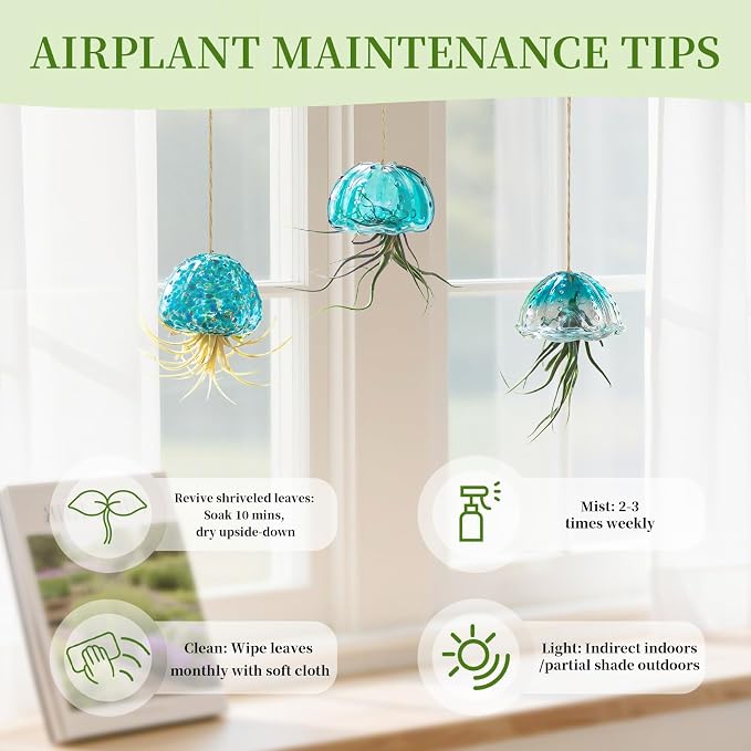 Glasseam Hanging Air Plant Holder: 3Pcs Glass Jellyfish Air Plant Hanger with Jute Ropes for Tillandsia Succulent Houseplants - Cute Airplant Display Container for Indoor Home Decor