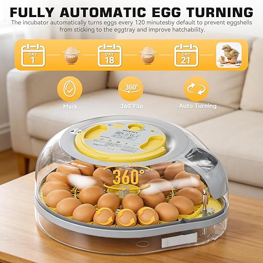 IBKINXX 26 Egg Incubator for Hatching Eggs with Smart Voice Guidance, 360° View with Automatic Temperature & Humidity Control, Auto Egg Turning & Built-in Egg Candler for Chicken, Duck, Goose & Quail