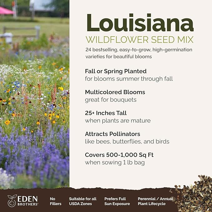 Eden Brothers Louisiana Wildflower Mixed Seeds for Planting, 1 lb, 480,000+ Seeds with Lupine, African Daisy | Attracts Pollinators, Plant in Spring or Fall, Zones
