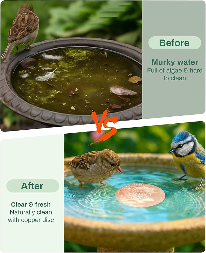 Bird Bath Purification Disk Pure Copper Outside Winter Solar Power Birdbath Wild Hummingbird Pedestal Fountain Cleaner Humming Feeder Cage Dispenser Heater Ground Safe Garden Lover Women Gift