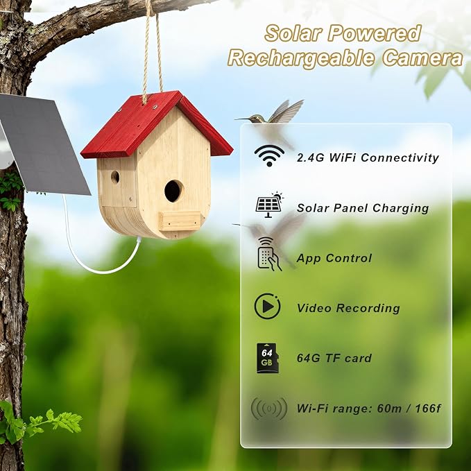 Hummingbird House with Camera Solar Powered