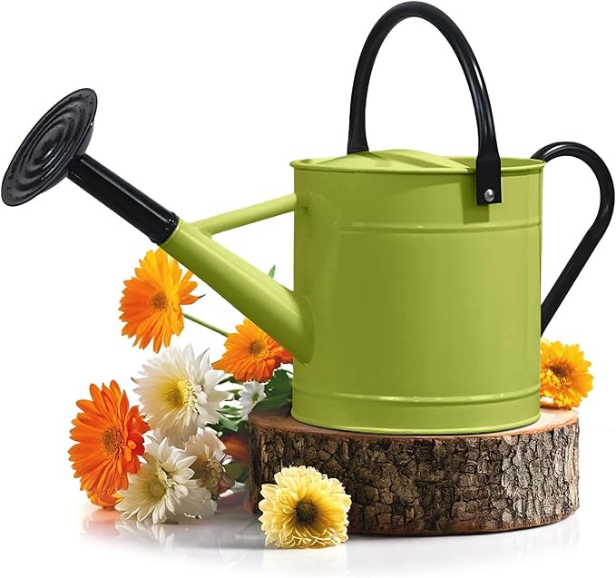Plexon Metal Watering Can Outdoor 1 Gallon, Flower Plant Gardening Garden Large Green Watering Can Pot, Galvanized Steel Handles - Removable Spray Spout, Green