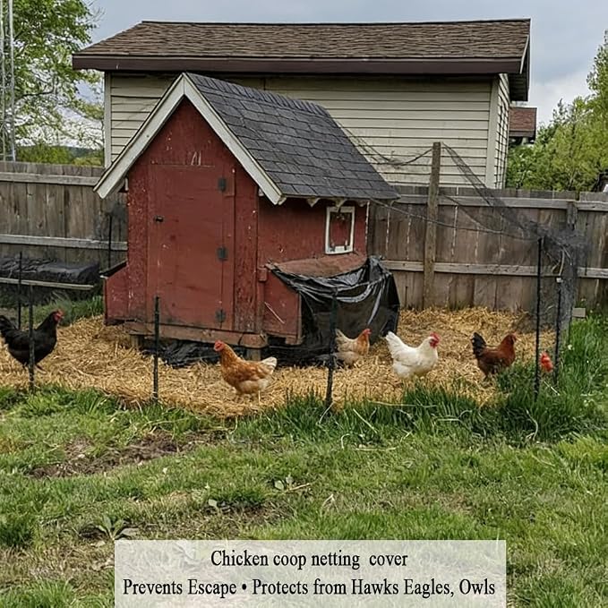 Bird Netting for Chicken Coop 15x15 FT, 1/2 in Mesh Chicken Run Netting Roof Cover Against Hawks, Eagles, Owls, Strong Woven Bird Netting for Garden, Fruit Tree, Plant, Vegetable Protection