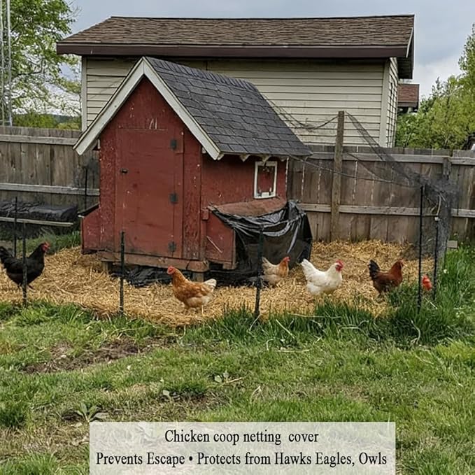 Bird Netting for Chicken Coop 50x100 FT, 1 in Mesh Chicken Run Netting Roof Cover Against Hawks, Eagles, Owls, Strong Woven Bird Netting for Garden, Fruit Tree, Plant, Vegetable Protection