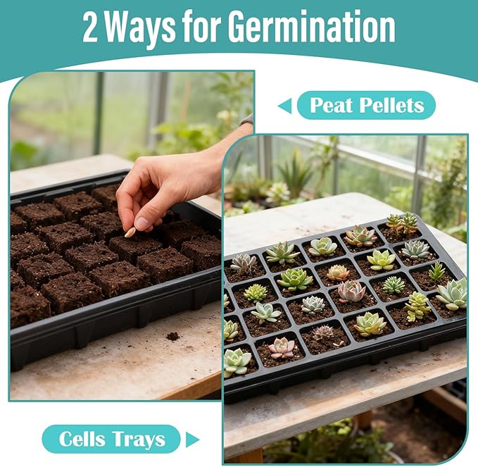 RooTrimmer 10-Pack XL Seed Starter Tray with Dome – 24 Large 2" Cells per Seedling Starter Trays (Total 240 Cells), Seed Growing Tray with Humidity Lids for Greenhouse Home Plant Propagation