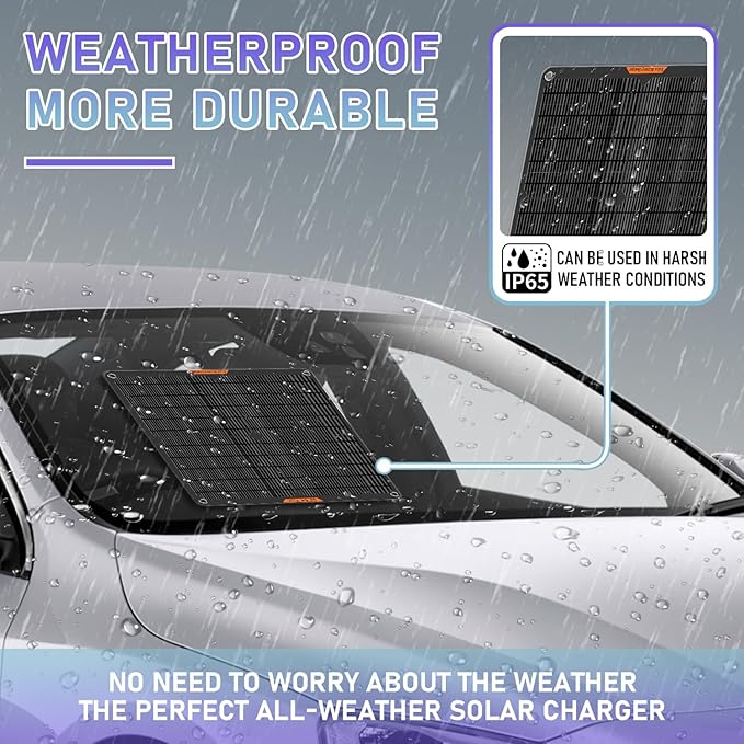 12 Volt 20W Solar Car Battery Charger & Maintainer, Solar Panel Trickle Charger, with Alligator Clip& Cigarette Lighter PlugAdapter for Car, Boat, Automotive, Motorcycle, RV