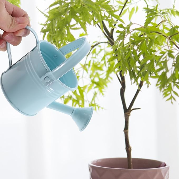 Small Watering Can Toddler Iron Sprinkle for Outdoor Plants, Kids Metal Mini Watering Pot for Gardening Yarde Home Plants Flower (Mixed Style)