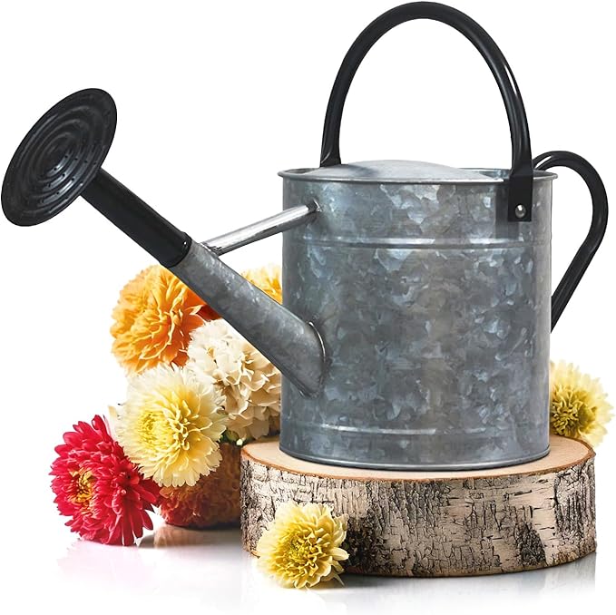 Plexon Metal Watering Can Outdoor 1 Gallon, Flower Plant Gardening Garden Large Galvanized Watering Can Pot Pitcher, Steel Black Handles and Removable Spray Spout