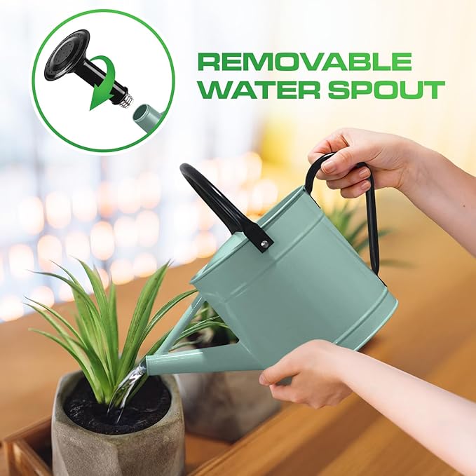 Plexon Metal Watering Can Outdoor 1 Gallon, Flower Plant Gardening Garden Large Watering Can Pot, Black Galvanized Steel Handles and Removable Spray Spout, Aqua Mist Blue