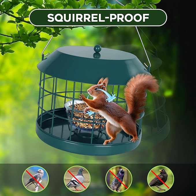 Gbekery Caged Bluebird Feeder for Mealworms with Glass Bowl, Squirrel Proof Bird Feeder for Small Birds Only, Detachable Hook, Large Space, Outdoors Weatherproof, Metal, Green