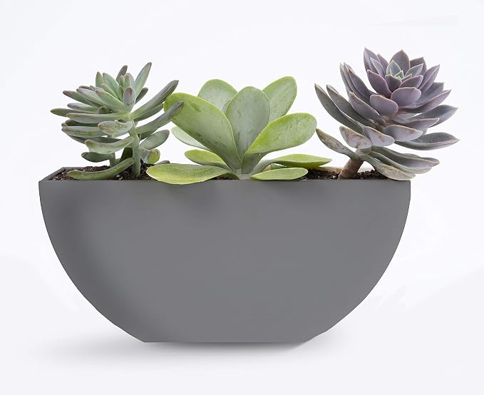 Bloem Bodye Half Moon Wall Mounted Hanging Planter 11" Charcoal Gray (BOD11908-HM)